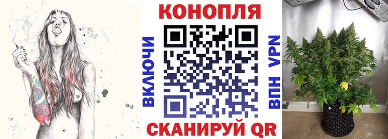 мега как войти  Киселёвск  МАРИХУАНА THC 21% 